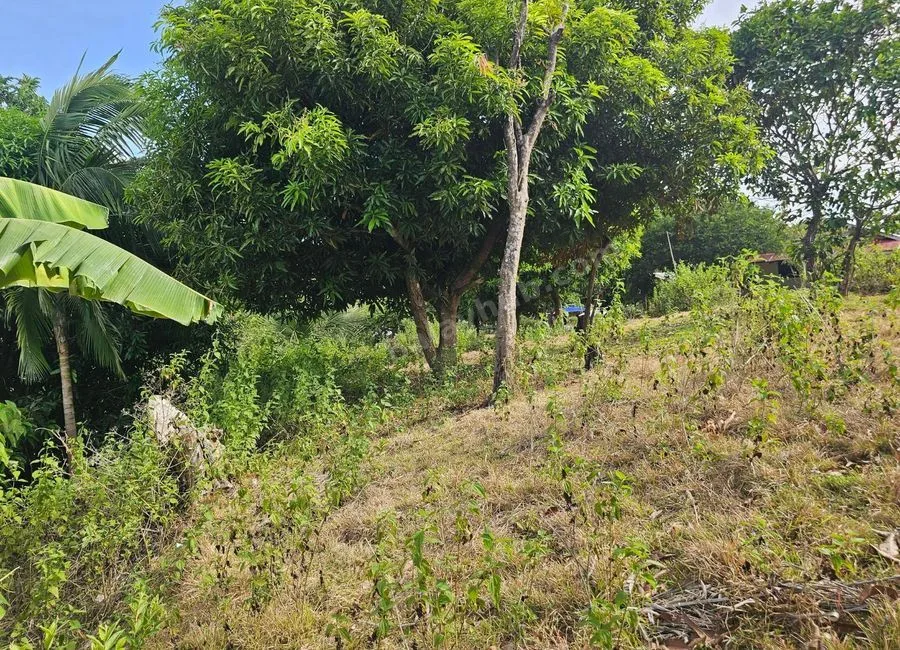 2,200 sqm Clean Title Overlooking Lot for Sale – Bagacay, Talibon, Bohol Price: ₱1,000 per sqm (Net)