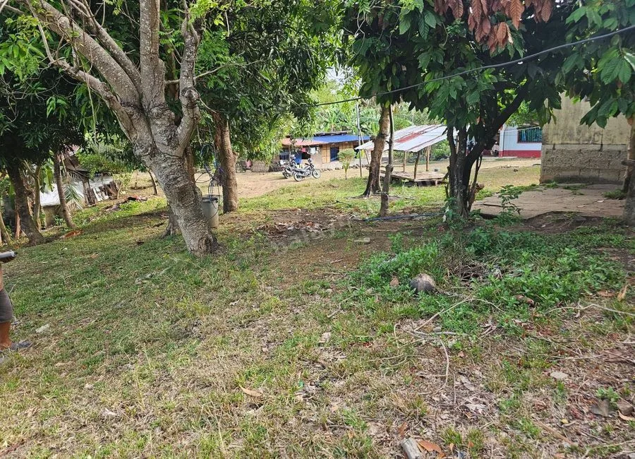2,200 sqm Clean Title Overlooking Lot for Sale – Bagacay, Talibon, Bohol Price: ₱1,000 per sqm (Net)