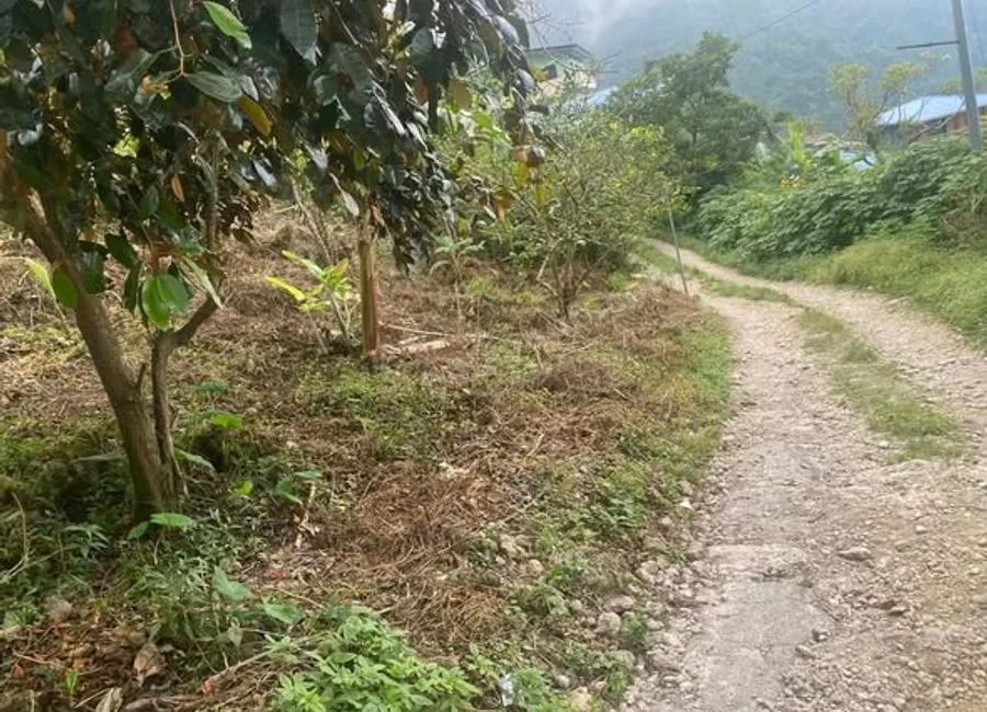 RUSH SALE LOT 70/140sqm LOT IN BADIWAN TUBA‼️