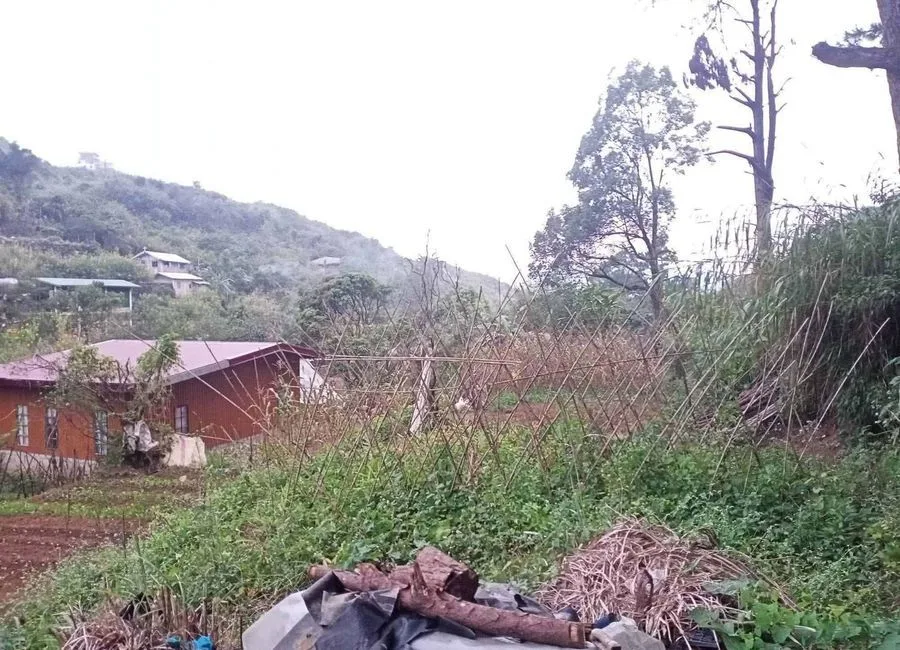 558sqm LOT for sale w/ multi route to Baguio City in Tawang, La Trinidad Benguet