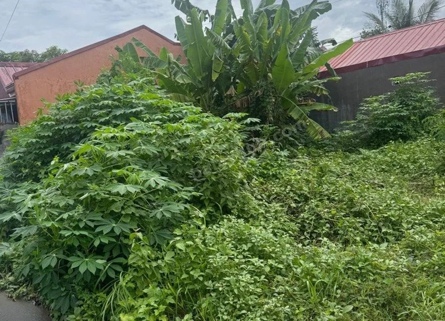 🏠 FOR SALE: 100sqm Residential Lot in Dolmar Golden Hills