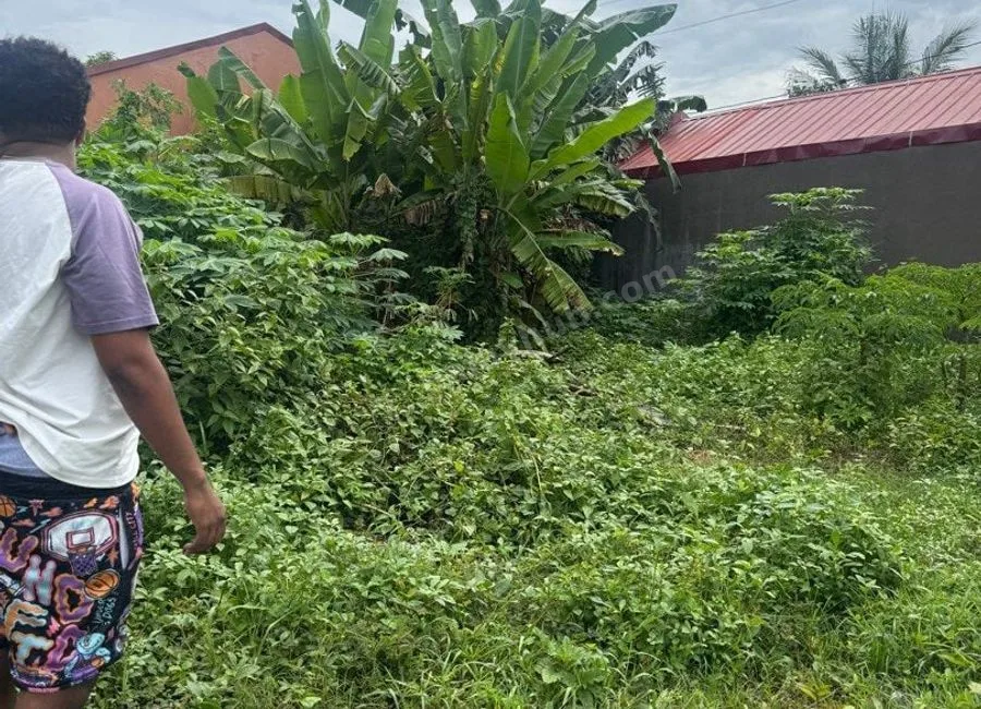 🏠 FOR SALE: 100sqm Residential Lot in Dolmar Golden Hills