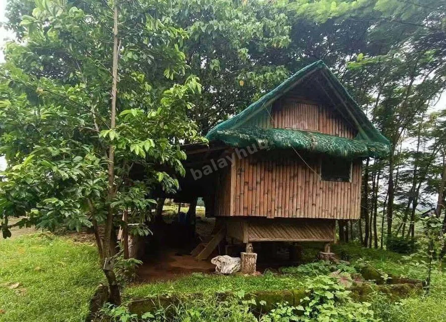 FARM LOT W/FRUIT BEARING TREES & LIVESTOCK for Sale in Batangas Philippines