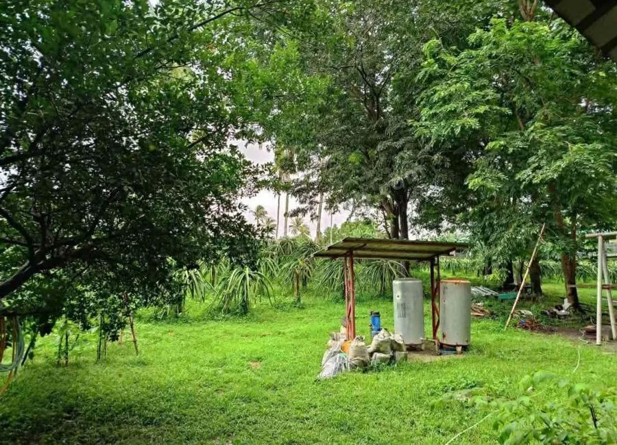 FARM LOT W/FRUIT BEARING TREES & LIVESTOCK for Sale in Batangas Philippines