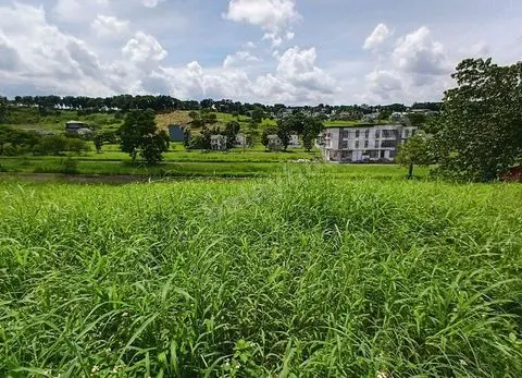 🏡 BEST VALUE LOT DEAL in Colinas Verdes – Prime Residential Lot for Only ₱3M! 🌄