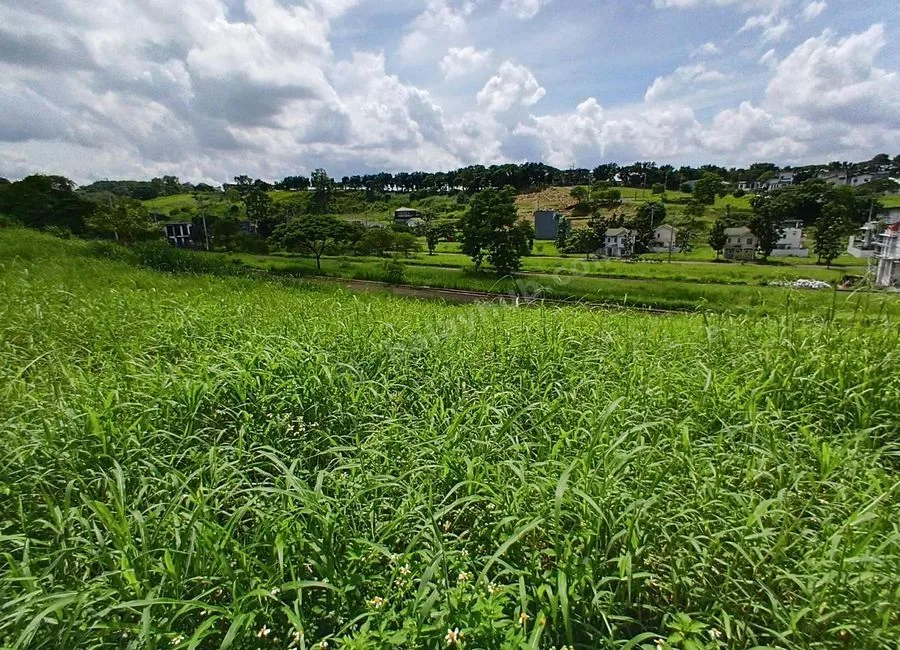🏡 BEST VALUE LOT DEAL in Colinas Verdes – Prime Residential Lot for Only ₱3M! 🌄