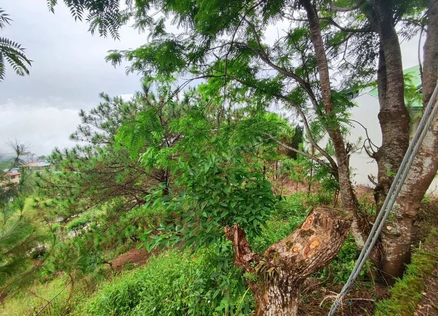 378SQM Lots for sale in BRGY ASIN, BAGUIO CITY - CC