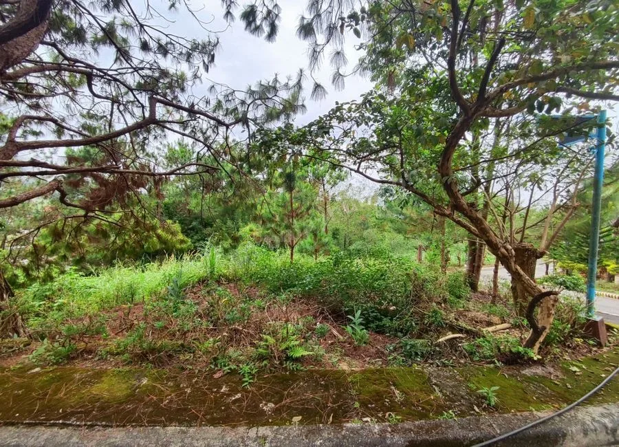 378SQM Lots for sale in BRGY ASIN, BAGUIO CITY - CC