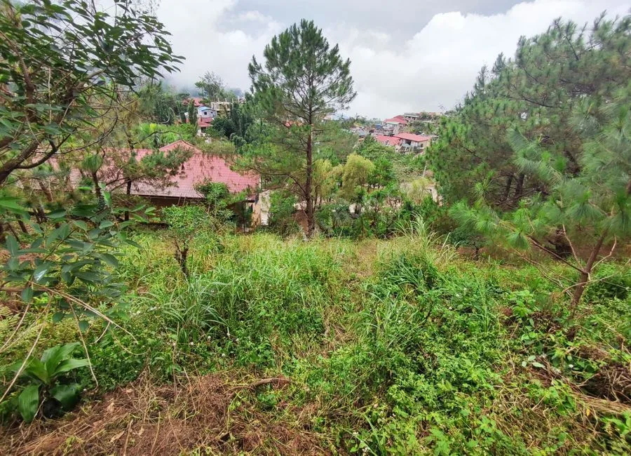 378SQM Lots for sale in BRGY ASIN, BAGUIO CITY - CC