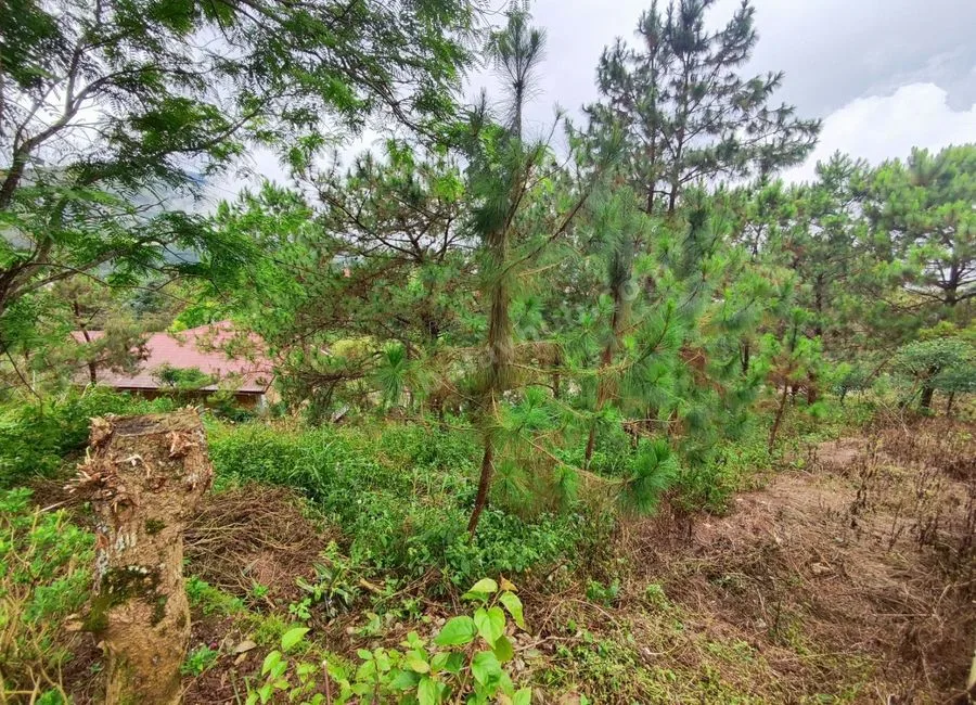 378SQM Lots for sale in BRGY ASIN, BAGUIO CITY - CC