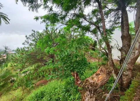 354SQM Lots for sale in BRGY ASIN, BAGUIO CITY - CC