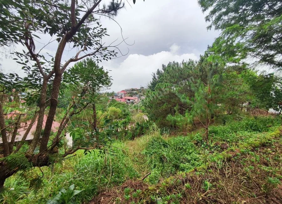 354SQM Lots for sale in BRGY ASIN, BAGUIO CITY - CC
