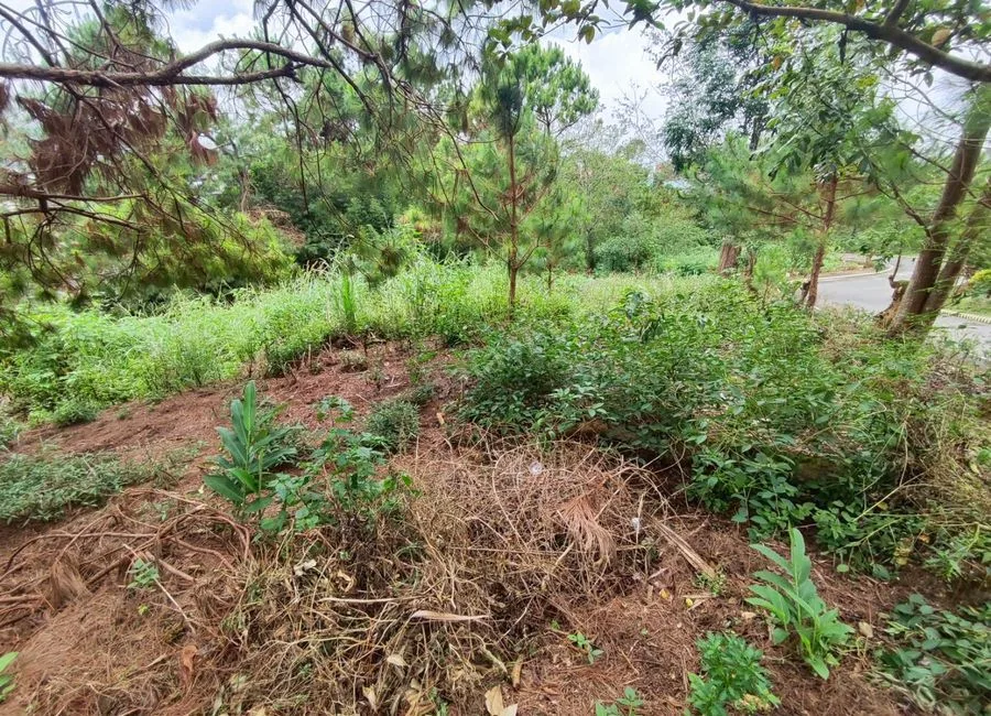 354SQM Lots for sale in BRGY ASIN, BAGUIO CITY - CC