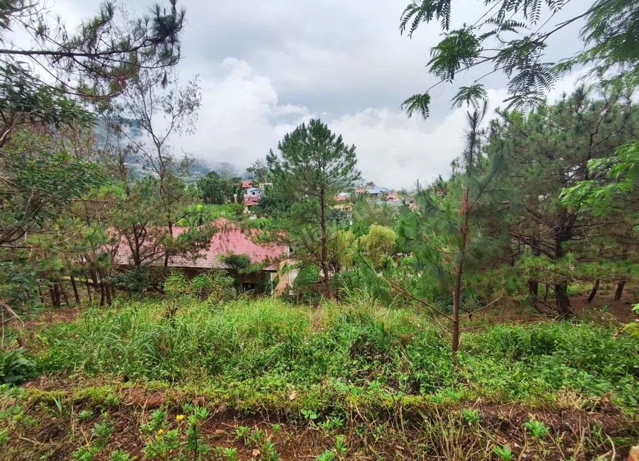 354SQM Lots for sale in BRGY ASIN, BAGUIO CITY - CC