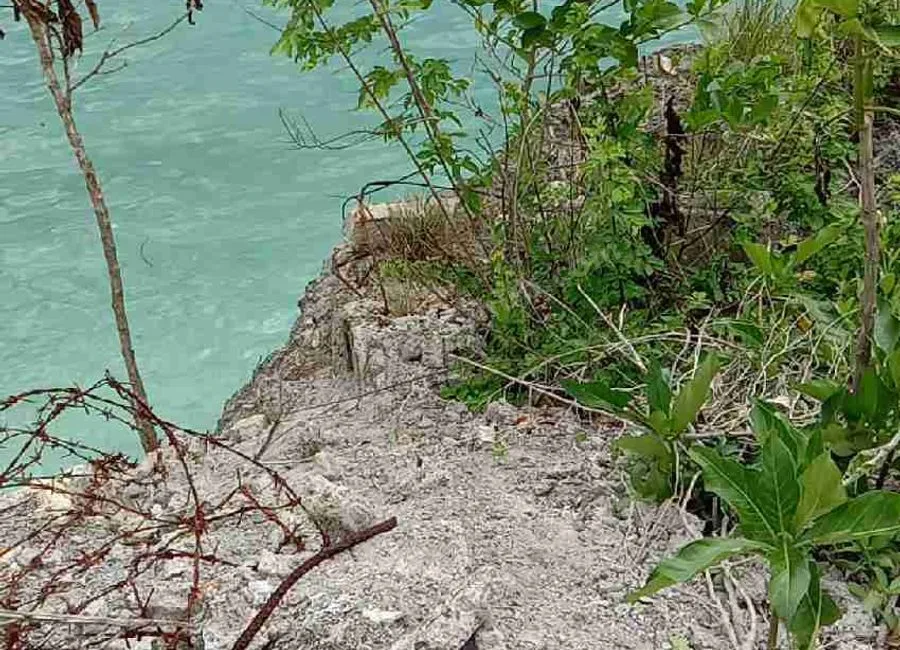 Beach Lot For Sale in Basdako Moalboal, Cebu