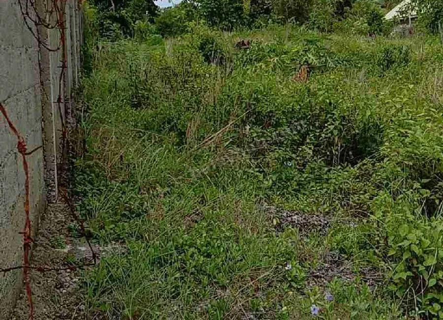 Beach Lot For Sale in Basdako Moalboal, Cebu