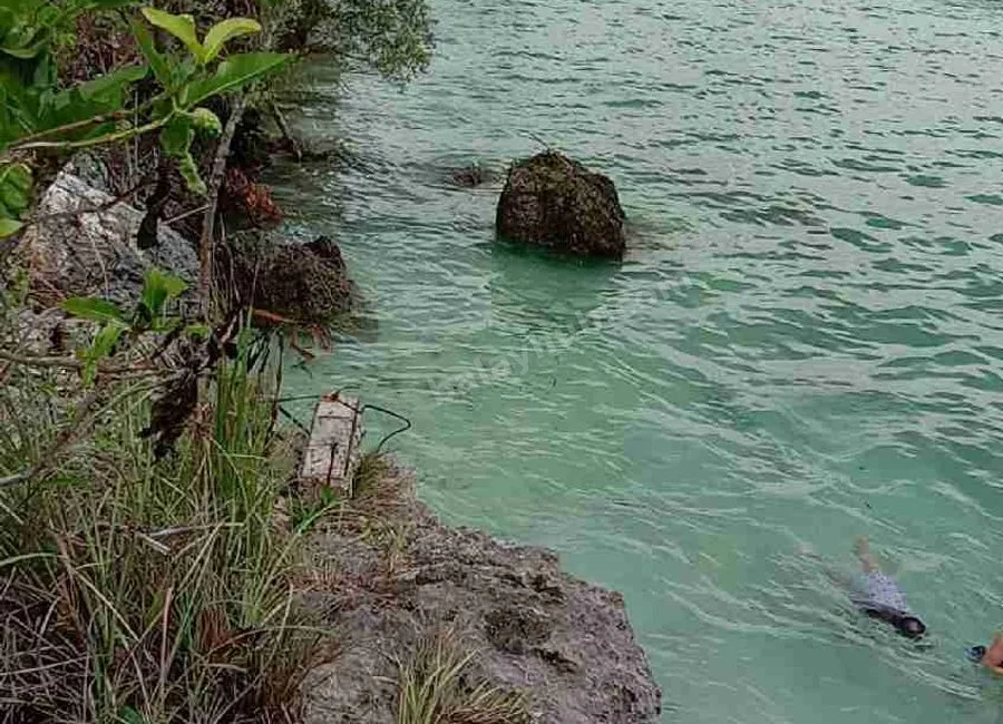 Beach Lot For Sale in Basdako Moalboal, Cebu