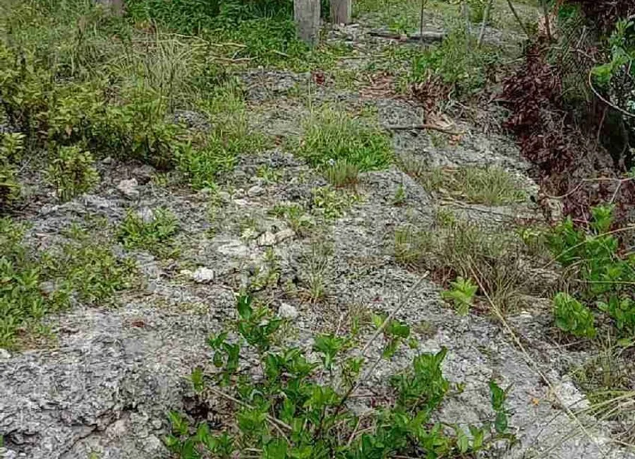 Beach Lot For Sale in Basdako Moalboal, Cebu