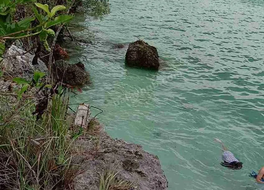 Beach Lot For Sale in Basdako Moalboal, Cebu