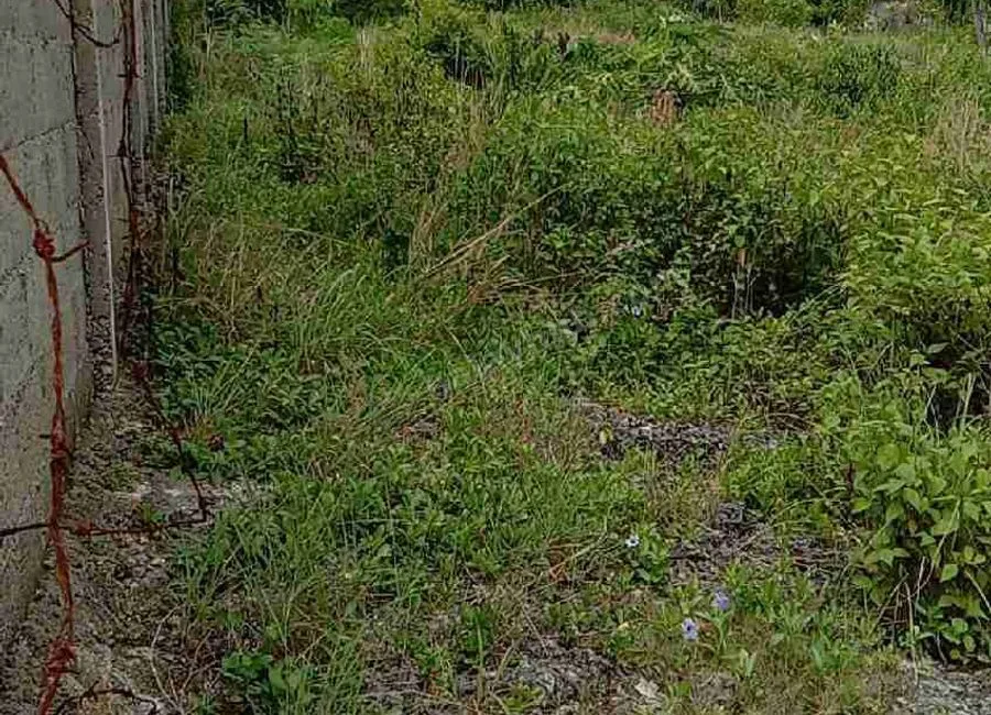 Beach Lot For Sale in Basdako Moalboal, Cebu