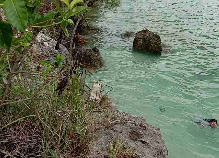 Beach Lot For Sale in Basdako Moalboal, Cebu