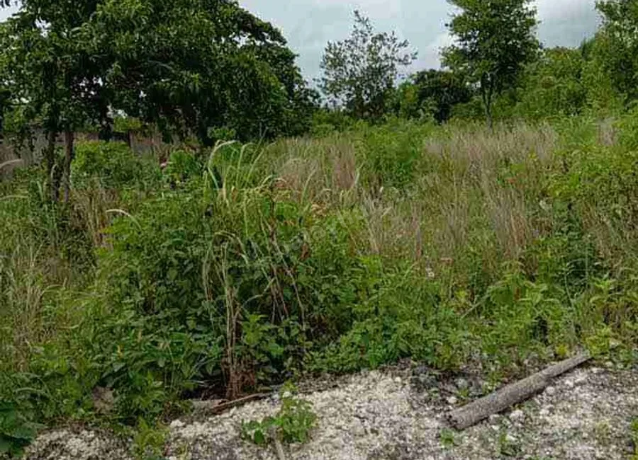 Beach Lot For Sale in Basdako Moalboal, Cebu