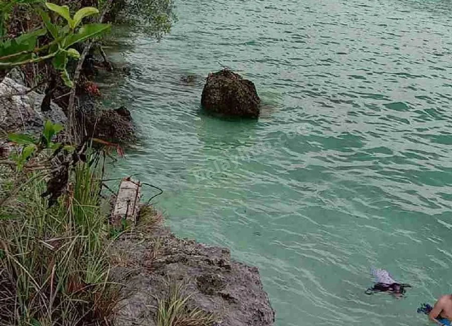 Beach Lot For Sale in Basdako Moalboal, Cebu