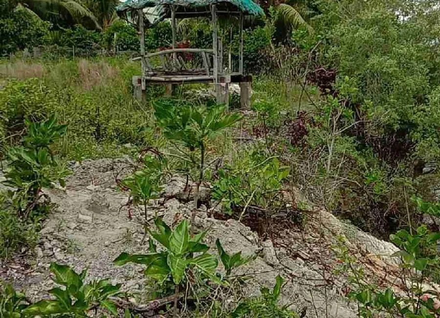 Beach Lot For Sale in Basdako Moalboal, Cebu
