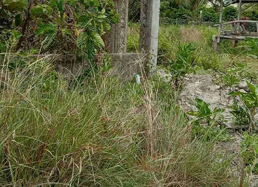 Beach Lot For Sale in Basdako Moalboal, Cebu