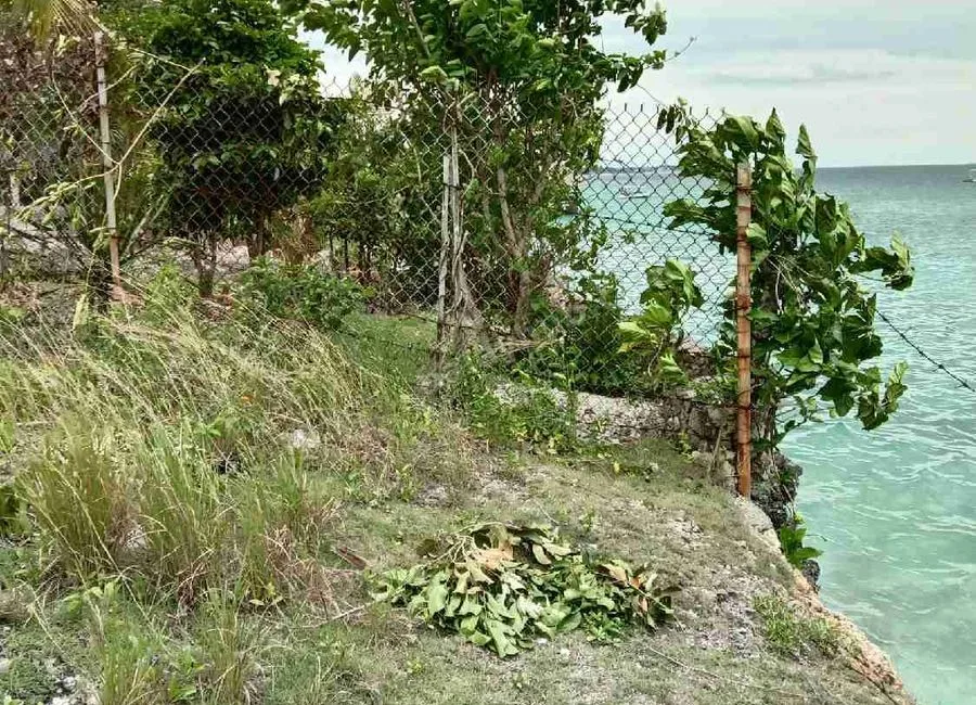 Beach Lot For Sale in Basdako Moalboal, Cebu