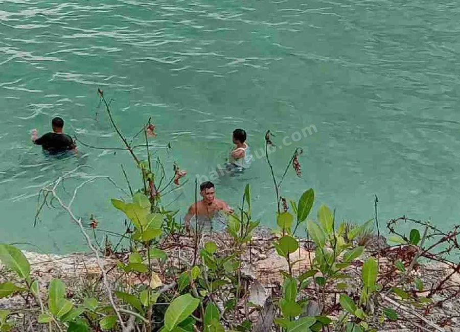 Beach Lot For Sale in Basdako Moalboal, Cebu