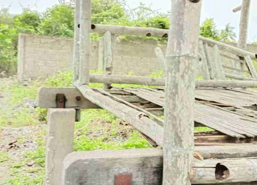 Beach Lot For Sale in Basdako Moalboal, Cebu