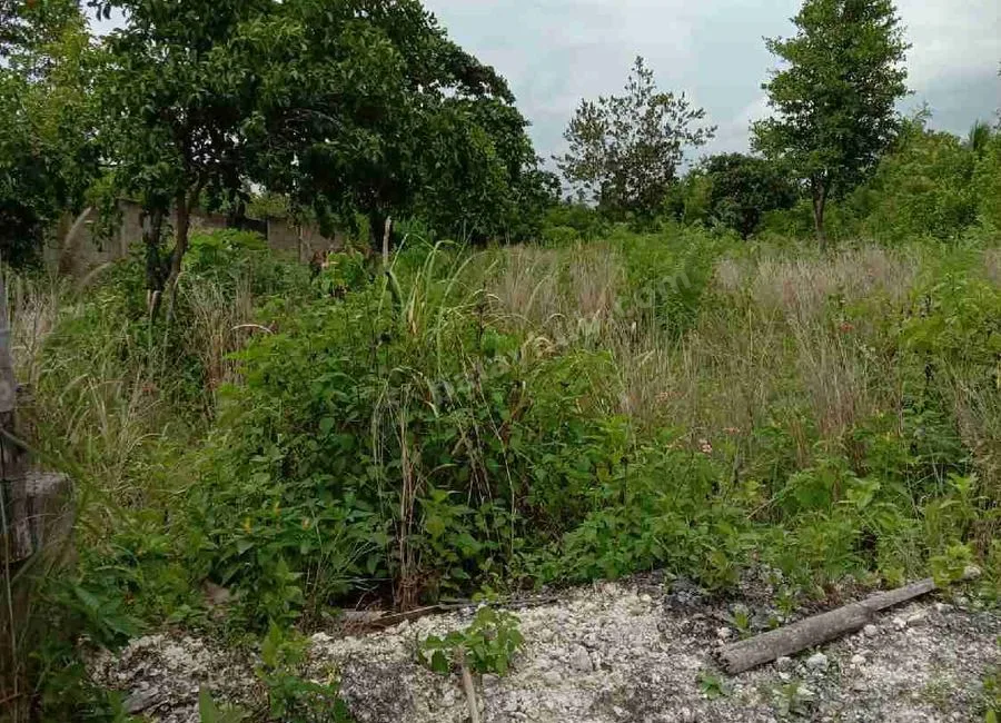 Beach Lot For Sale in Basdako Moalboal, Cebu
