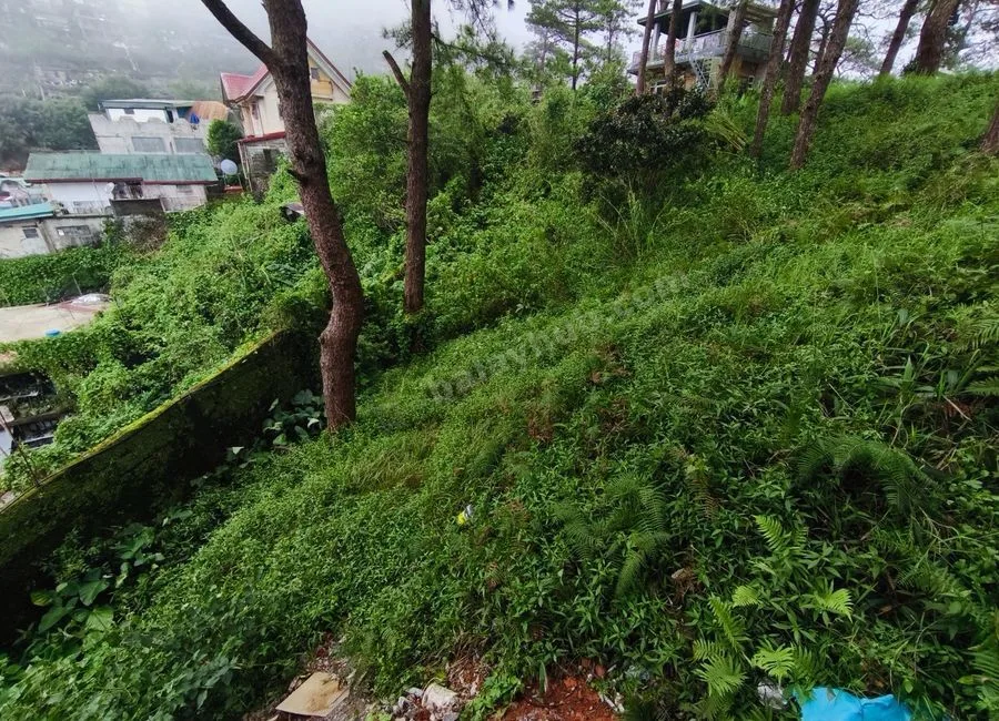 207sqm LOT in Luis Village, Baguio City for Sale - CC