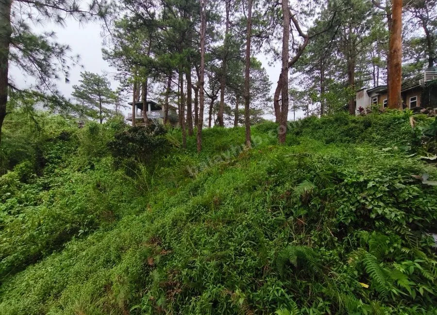 207sqm LOT in Luis Village, Baguio City for Sale - CC