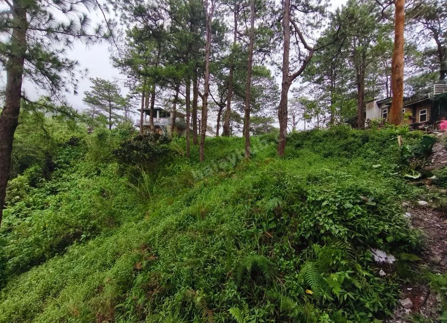 207sqm LOT in Luis Village, Baguio City for Sale - CC