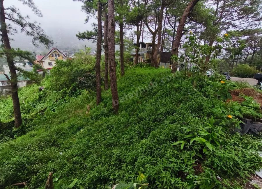 207sqm LOT in Luis Village, Baguio City for Sale - CC