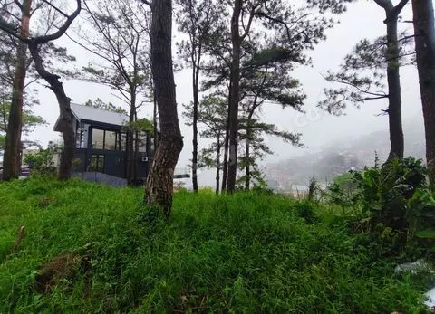 207sqm LOT in Luis Village, Baguio City for Sale - CC
