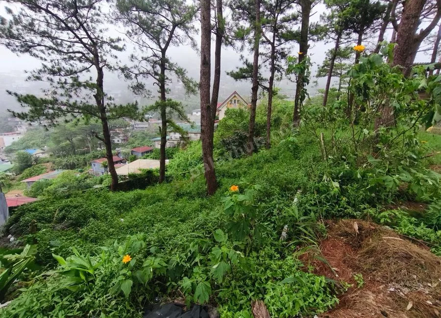 207sqm LOT in Luis Village, Baguio City for Sale - CC
