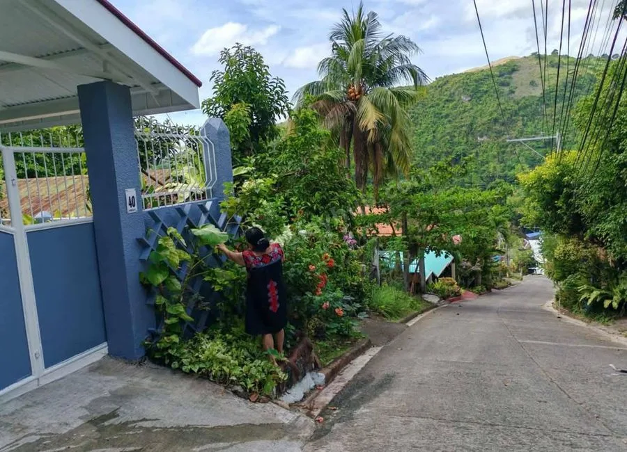 For SALE: House and Lot in Sapangdaku, Cebu City
