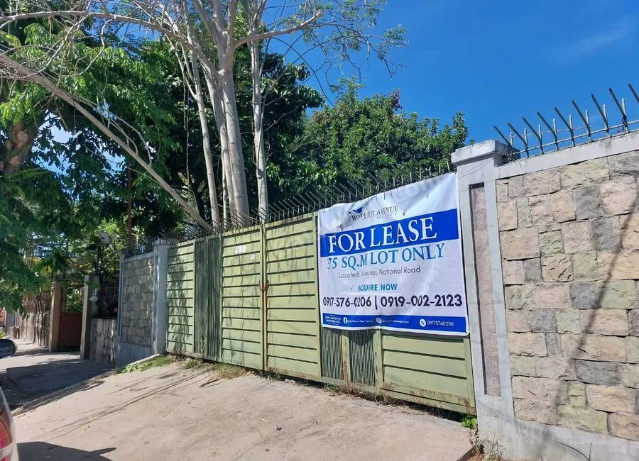 LOT FOR LEASE - ABUCAY NATIONAL ROAD