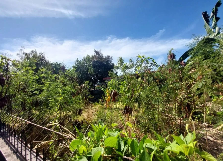 LOT FOR LEASE - ABUCAY NATIONAL ROAD