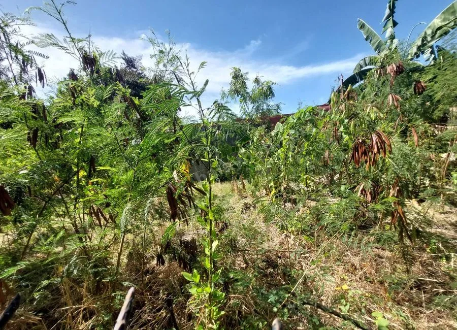 LOT FOR LEASE - ABUCAY NATIONAL ROAD
