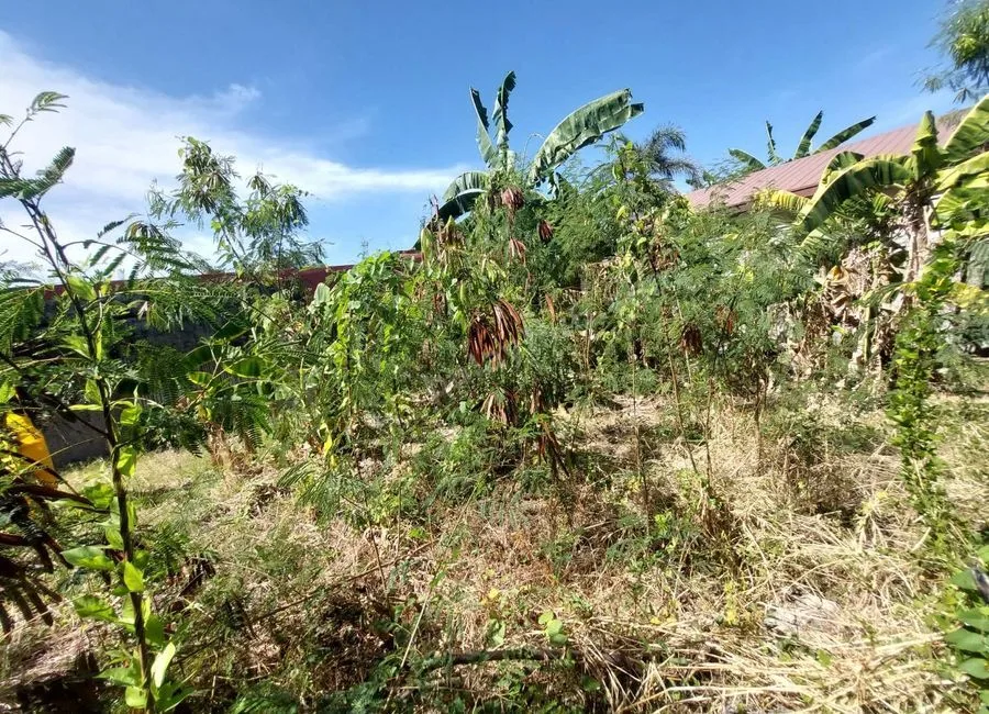 LOT FOR LEASE - ABUCAY NATIONAL ROAD