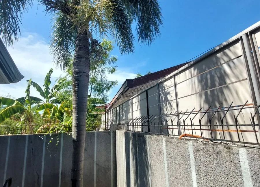 LOT FOR LEASE - ABUCAY NATIONAL ROAD