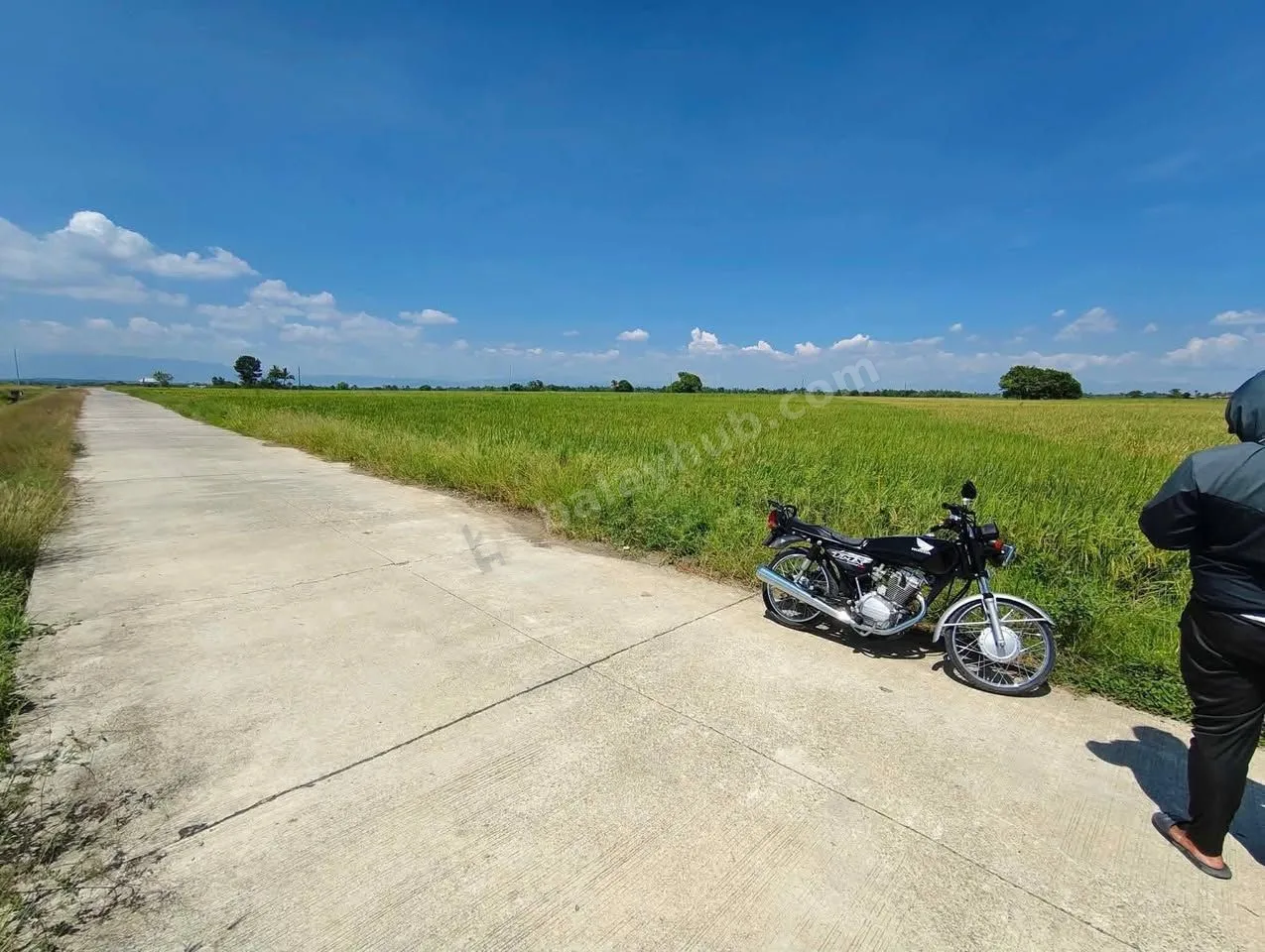 2-Hectare Rice Farm Lot in Talugtug, Nueva Ecija