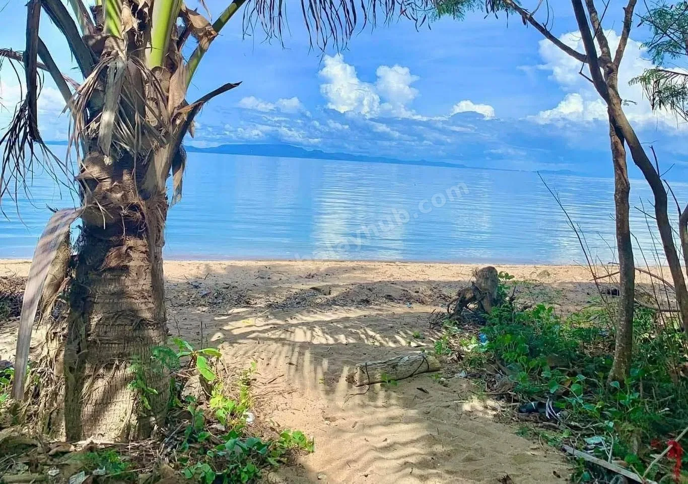 Beachfront Titled Lot in San Narciso, Quezon