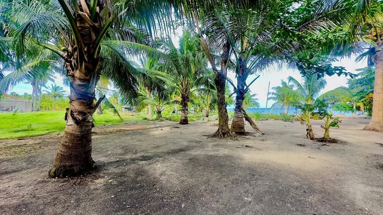 Beachfront Titled Lot in San Narciso, Quezon