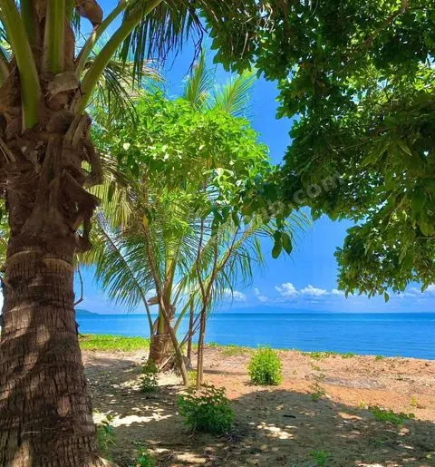 Beachfront Titled Lot in San Narciso, Quezon