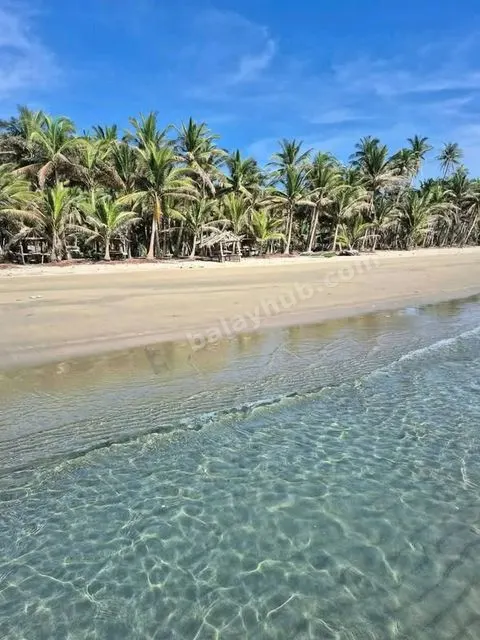 Beachfront Lot in Mulanay, Quezon